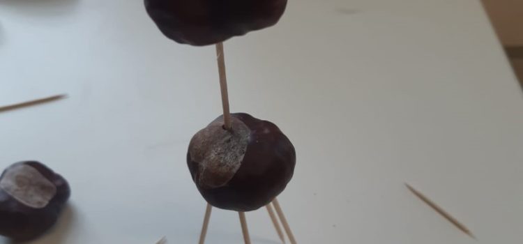 Basteln mit Kastanien (2b)