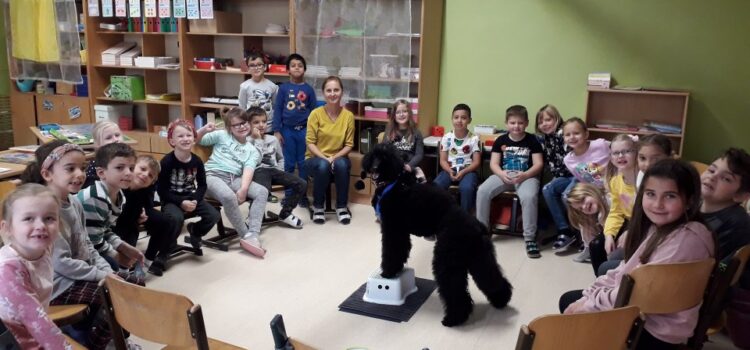 Tierischer Besuch in der ersten Klasse