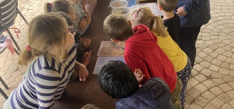 Schwalbenworkshop 