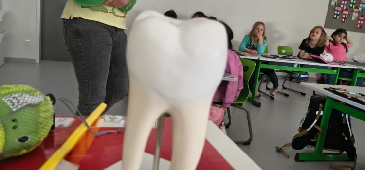 Kroko zu Besuch Kroko zu Besuch